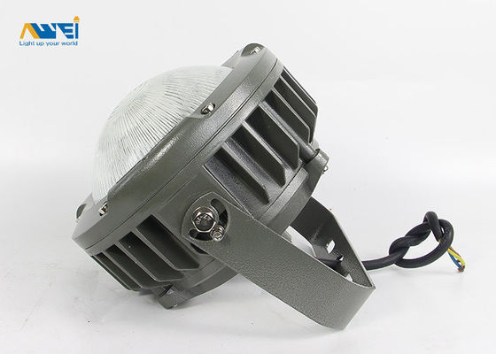 kupować 100 W Przeciwwybuchowe oświetlenie LED Stopień ochrony IP66 85-265 V Do mokrych lokalizacji online manufacture